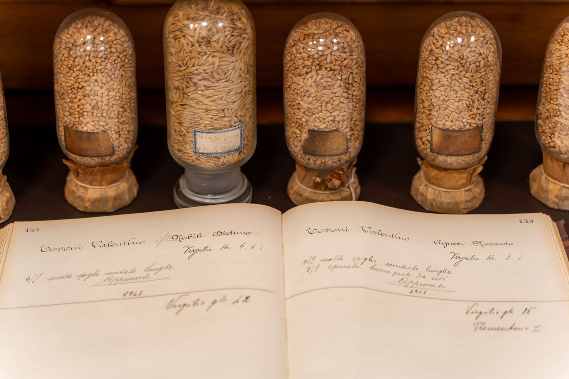 Area Strampelli | Filippo Marzano